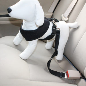 pet-seat-belt